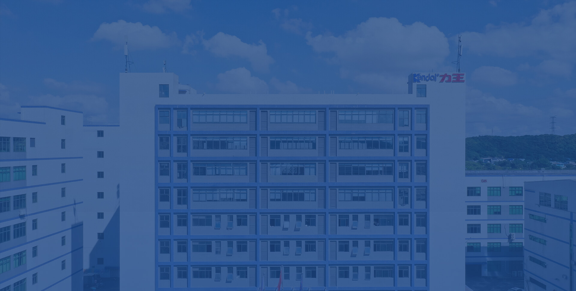 ���ֲ��ɷ�