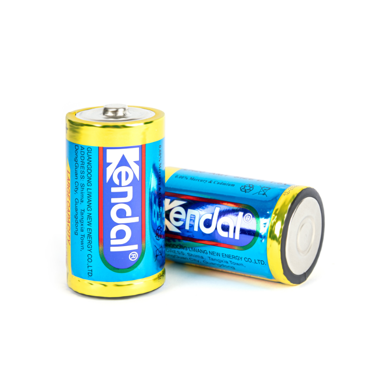 ���Դ�ŵ��  D�� LR20 1.5V